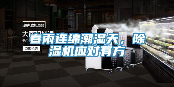 春雨連綿潮濕天，除濕機應對有方