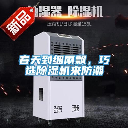 春天到細雨飄，巧選除濕機來防潮