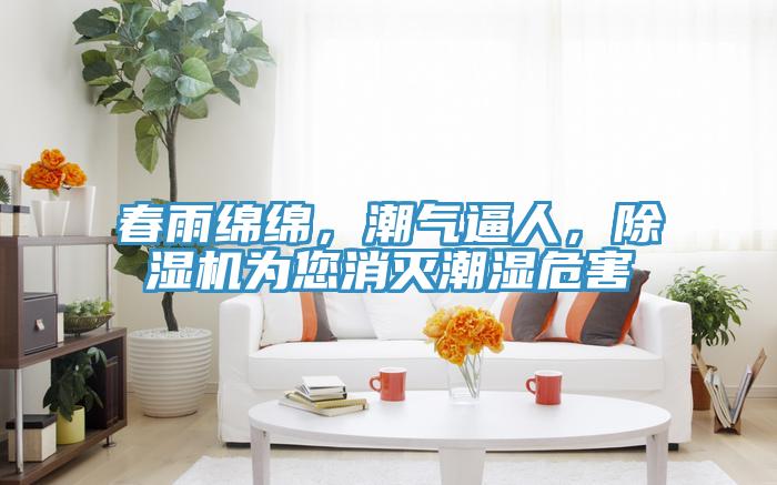 春雨綿綿，潮氣逼人，除濕機為您消滅潮濕危害