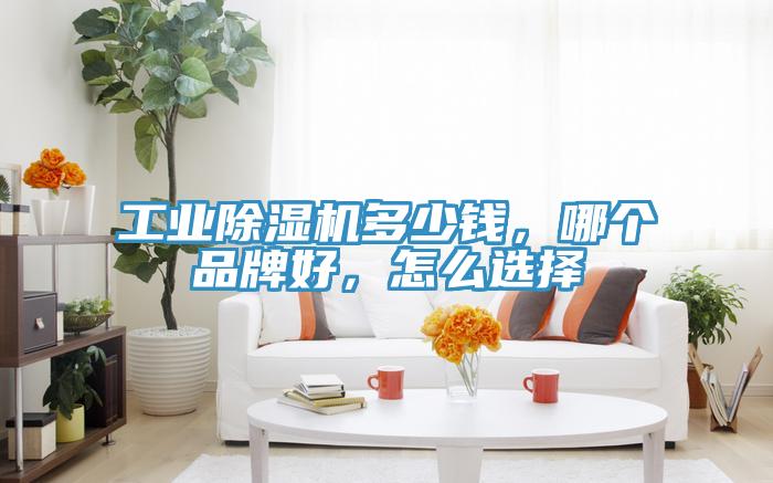 工業(yè)除濕機(jī)多少錢(qián)，哪個(gè)品牌好，怎么選擇