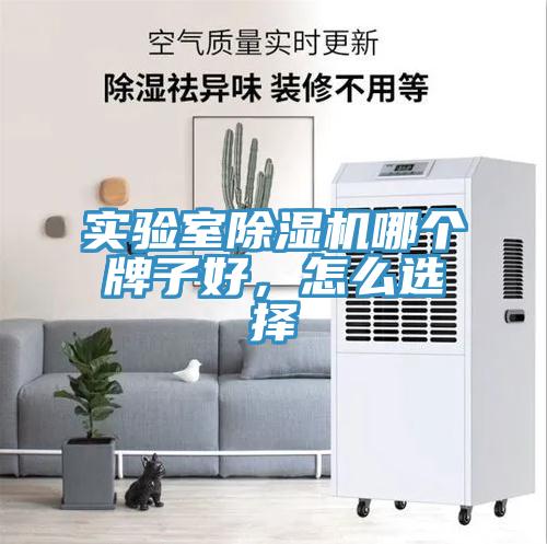 實驗室除濕機哪個牌子好，怎么選擇