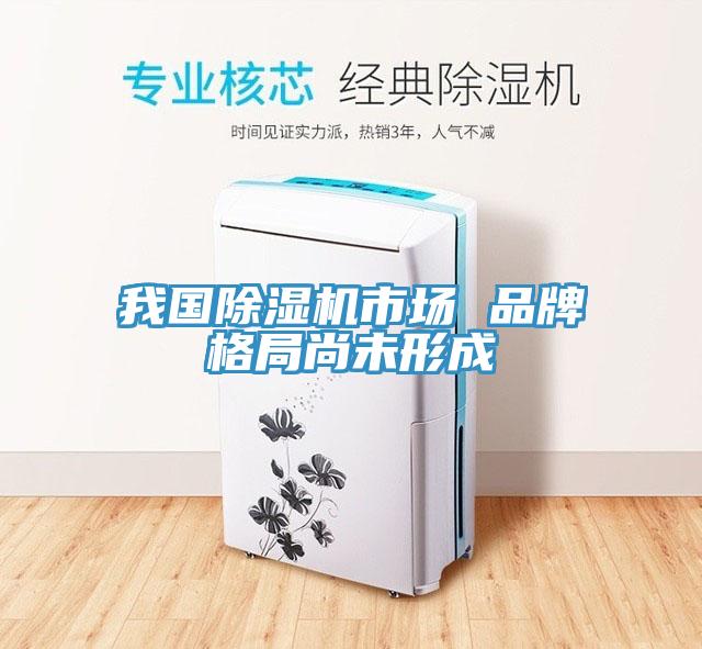 我國除濕機(jī)市場(chǎng) 品牌格局尚未形成