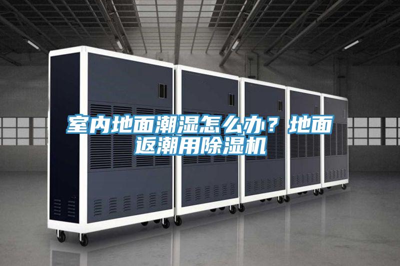 室內(nèi)地面潮濕怎么辦？地面返潮用除濕機(jī)