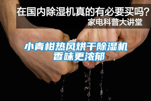 小青柑熱風(fēng)烘干除濕機 香味更濃郁