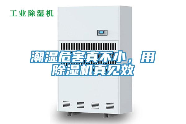 潮濕危害真不小，用除濕機真見效