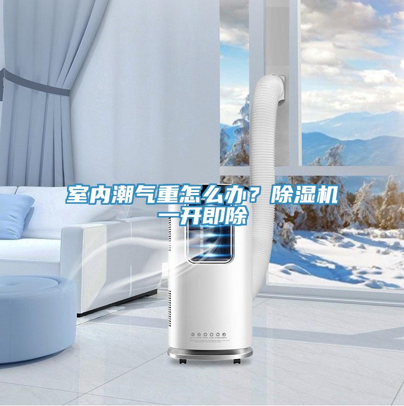 室內(nèi)潮氣重怎么辦？除濕機(jī)一開即除