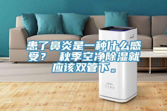 患了鼻炎是一種什么感受？ 秋季空凈除濕就應(yīng)該雙管下。