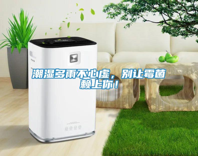 潮濕多雨不心虛，別讓霉菌賴上你！