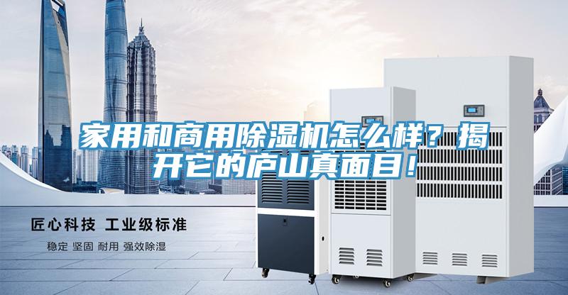 家用和商用除濕機怎么樣？揭開它的廬山真面目！