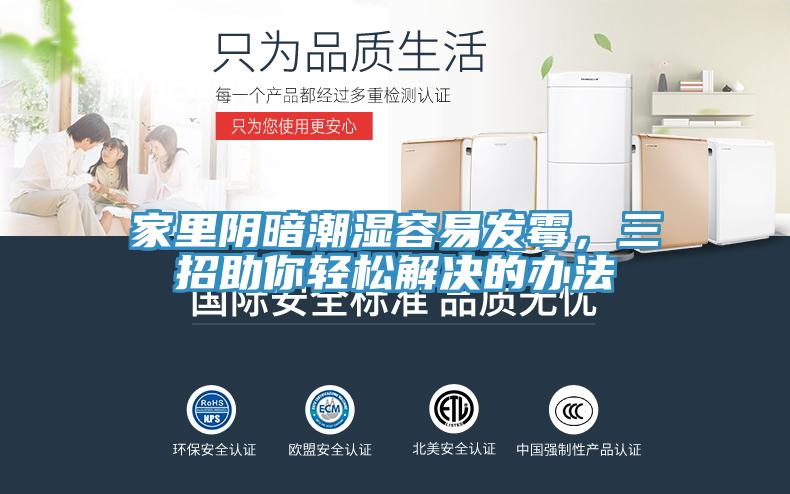 家里陰暗潮濕容易發(fā)霉，三招助你輕松解決的辦法