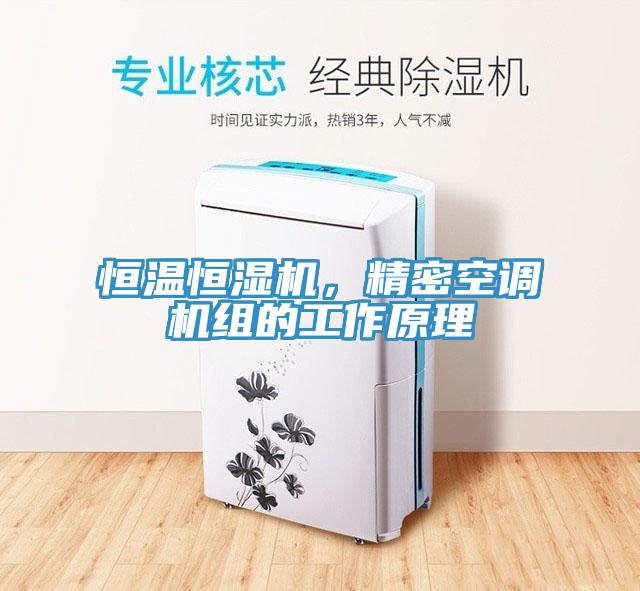 恒溫恒濕機(jī)，精密空調(diào)機(jī)組的工作原理