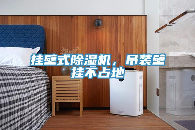 掛壁式除濕機(jī)，吊裝壁掛不占地