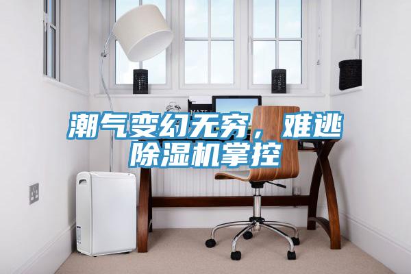 潮氣變幻無窮，難逃除濕機掌控