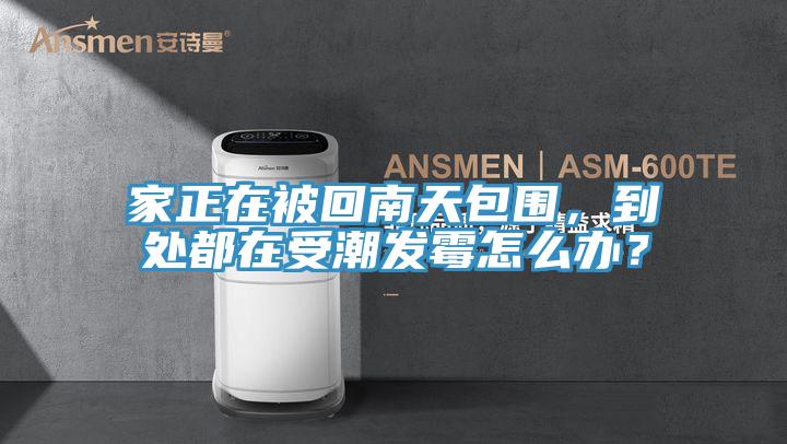 家正在被回南天包圍，到處都在受潮發(fā)霉怎么辦？
