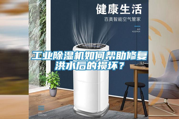 工業(yè)除濕機如何幫助修復洪水后的損壞？