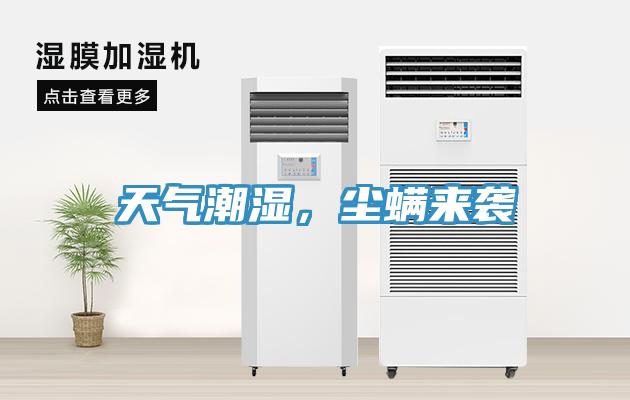 天氣潮濕，塵螨來襲