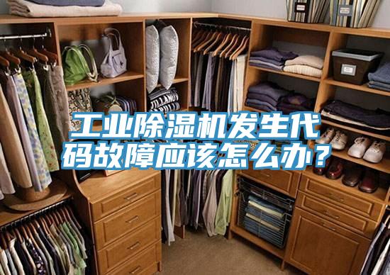 工業(yè)除濕機(jī)發(fā)生代碼故障應(yīng)該怎么辦？
