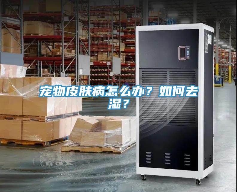 寵物皮膚病怎么辦？如何去濕？