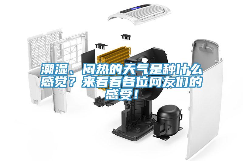 潮濕、悶熱的天氣是種什么感覺？來看看各位網(wǎng)友們的感受！