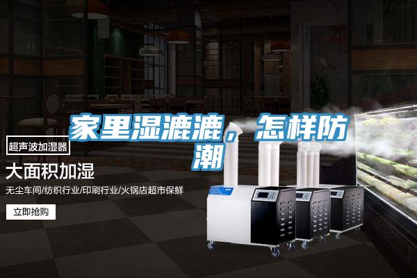 家里濕漉漉，怎樣防潮