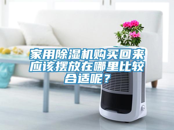 家用除濕機(jī)購(gòu)買回來應(yīng)該擺放在哪里比較合適呢？