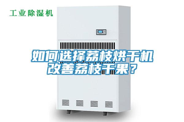 如何選擇荔枝烘干機改善荔枝干果？