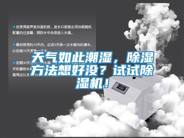 天氣如此潮濕，除濕方法想好沒(méi)？試試除濕機(jī)！