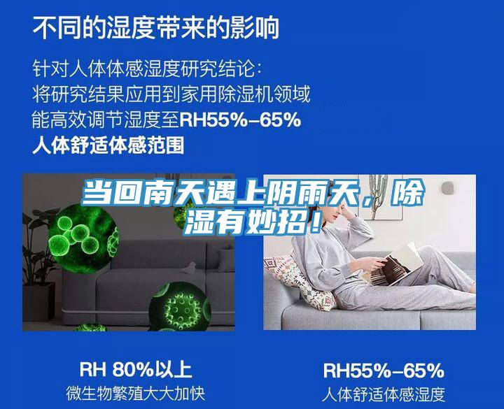 當回南天遇上陰雨天，除濕有妙招！