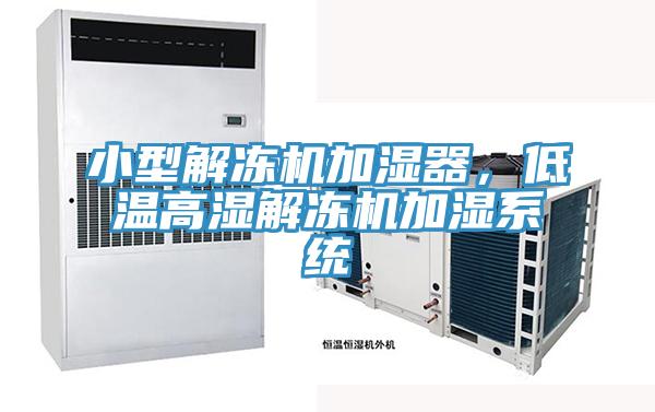 小型解凍機加濕器，低溫高濕解凍機加濕系統(tǒng)