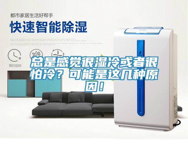 總是感覺(jué)很濕冷或者很怕冷？可能是這幾種原因！