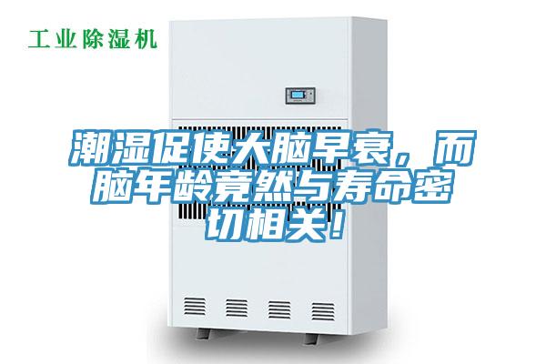 潮濕促使大腦早衰，而腦年齡竟然與壽命密切相關(guān)！