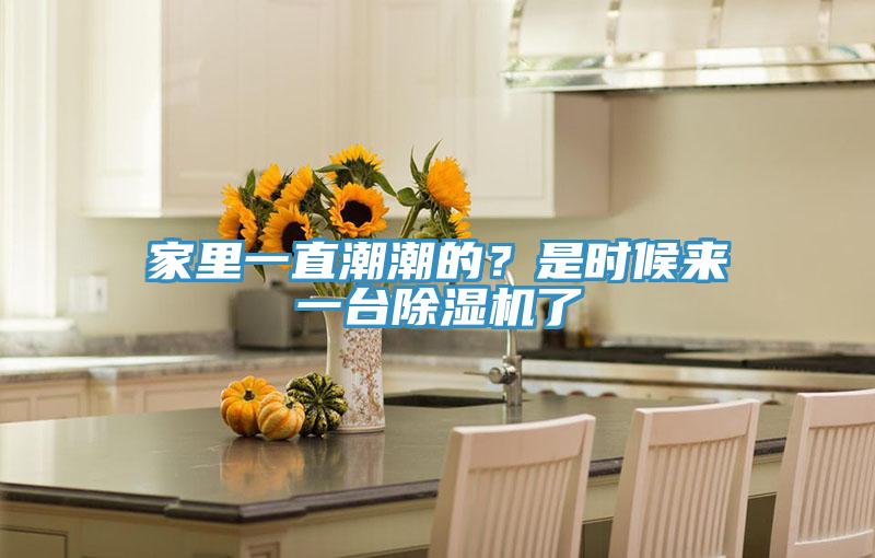 家里一直潮潮的？是時候來一臺除濕機(jī)了