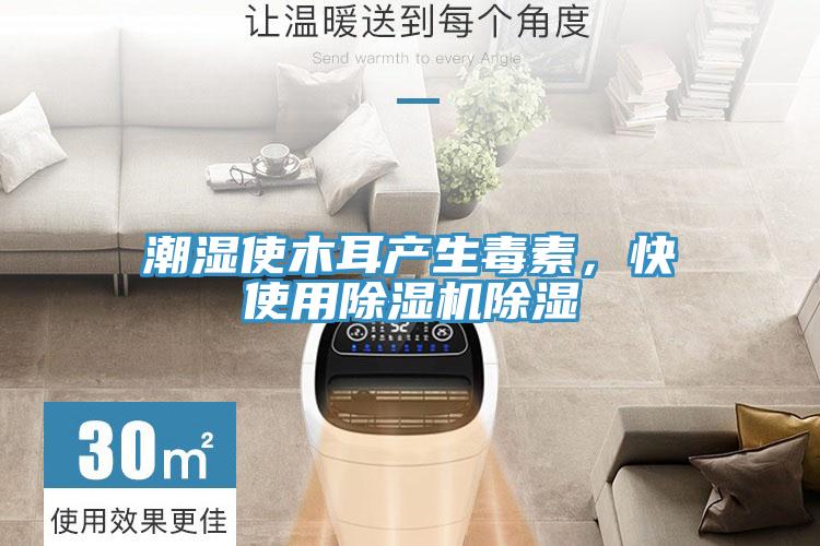 潮濕使木耳產(chǎn)生毒素，快使用除濕機除濕