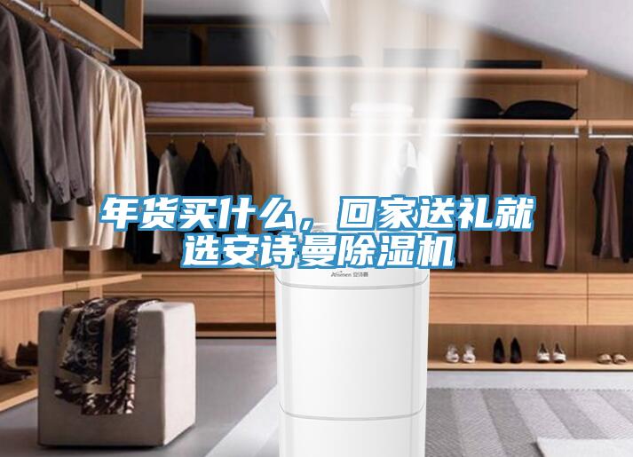 年貨買什么，回家送禮就選安詩曼除濕機(jī)