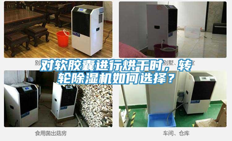 對軟膠囊進行烘干時，轉(zhuǎn)輪除濕機如何選擇？