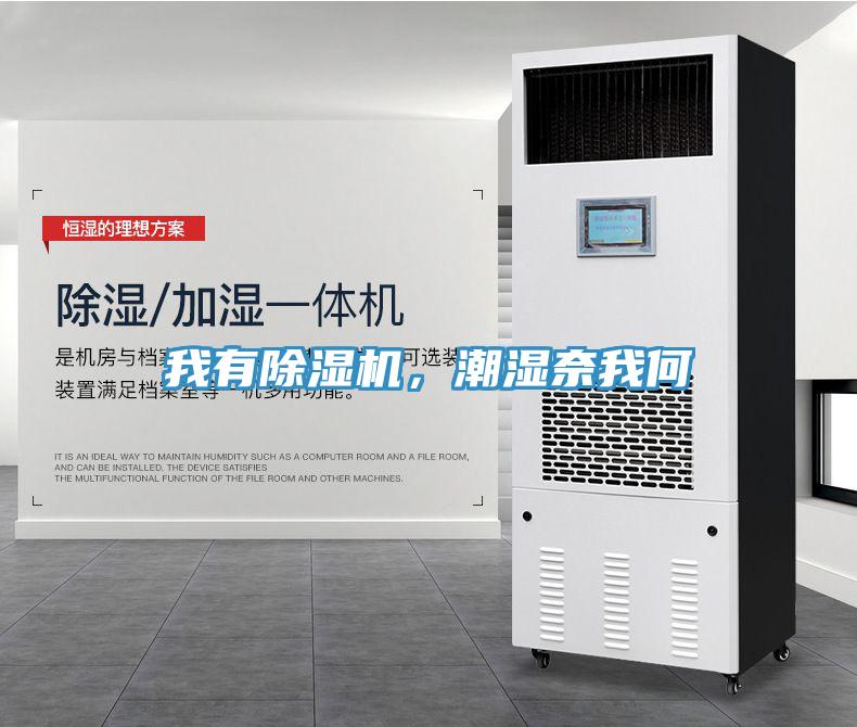 我有除濕機(jī)，潮濕奈我何