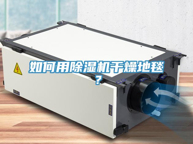 如何用除濕機(jī)干燥地毯？