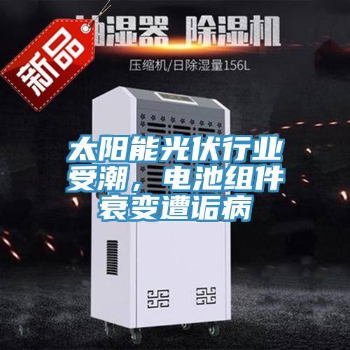 太陽能光伏行業(yè)受潮，電池組件衰變?cè)庠嵅?></div>
								<div   id=