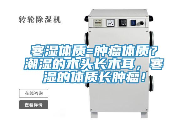 寒濕體質(zhì)=腫瘤體質(zhì)？潮濕的木頭長木耳，寒濕的體質(zhì)長腫瘤！
