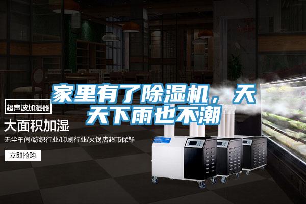 家里有了除濕機，天天下雨也不潮