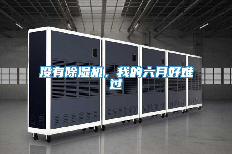 沒有除濕機(jī)，我的六月好難過