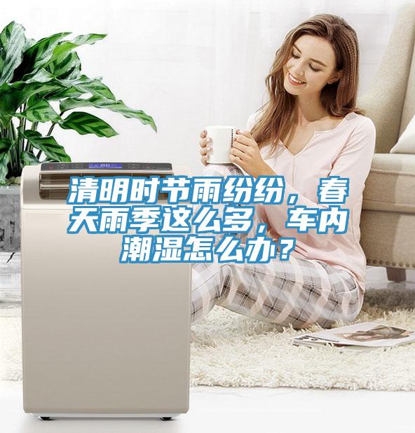 清明時(shí)節(jié)雨紛紛，春天雨季這么多，車內(nèi)潮濕怎么辦？