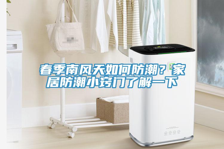 春季南風(fēng)天如何防潮？家居防潮小竅門了解一下