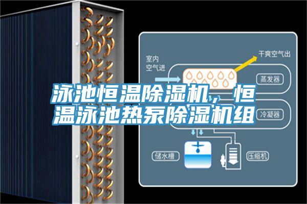 泳池恒溫除濕機(jī)，恒溫泳池?zé)岜贸凉駲C(jī)組