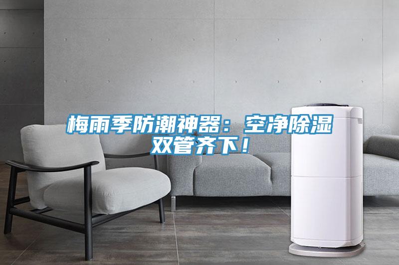 梅雨季防潮神器：空凈除濕雙管齊下！