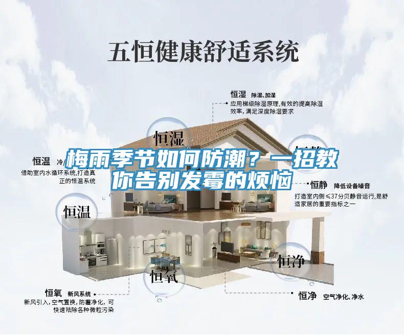梅雨季節(jié)如何防潮？一招教你告別發(fā)霉的煩惱