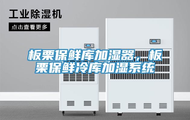 板栗保鮮庫加濕器，板栗保鮮冷庫加濕系統(tǒng)