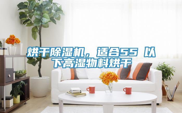烘干除濕機(jī)，適合55℃以下高濕物料烘干
