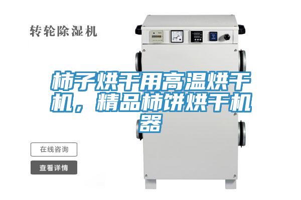 柿子烘干用高溫烘干機(jī)，精品柿餅烘干機(jī)器