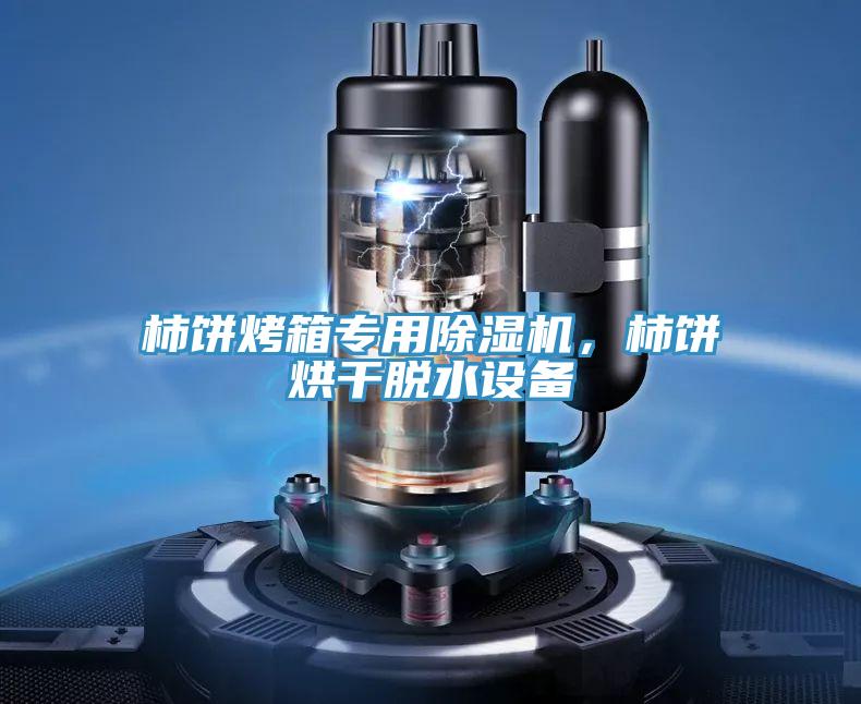 柿餅烤箱專用除濕機(jī)，柿餅烘干脫水設(shè)備